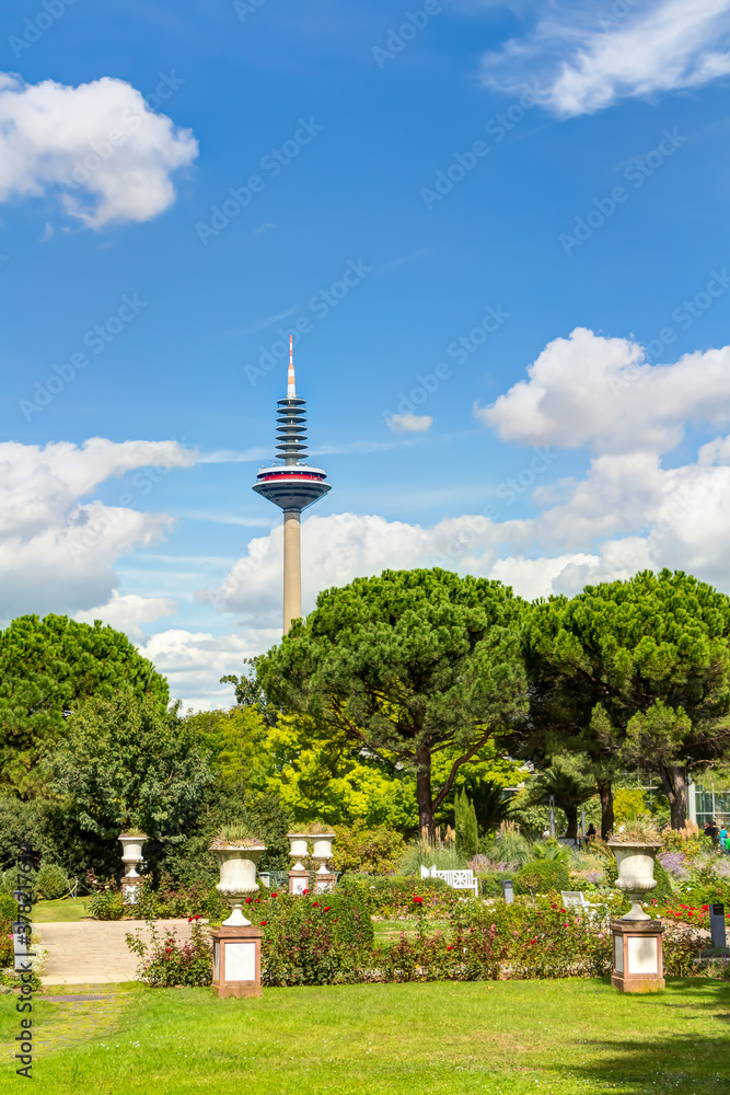 Obraz premium Palmengarten und Europaturm in Frankfurt am Main, Hessen