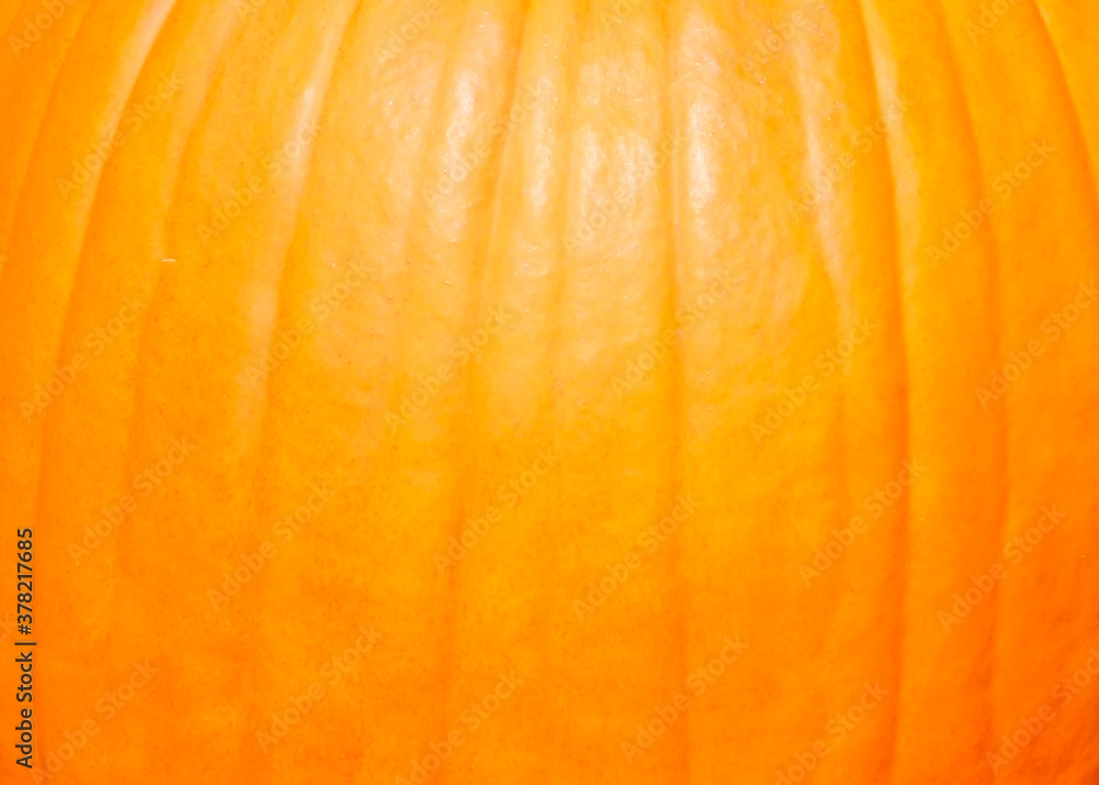 close up of texture of pumpkin Skin - obrazy, fototapety, plakaty 