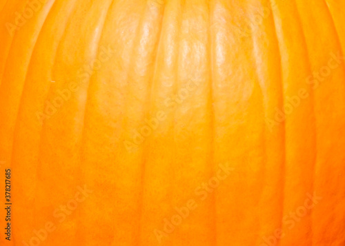close up of texture of pumpkin Skin