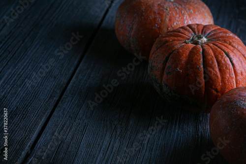 Top view of decorative pumpkins on dark wooden background. Decoration in the Gothic style. copy space