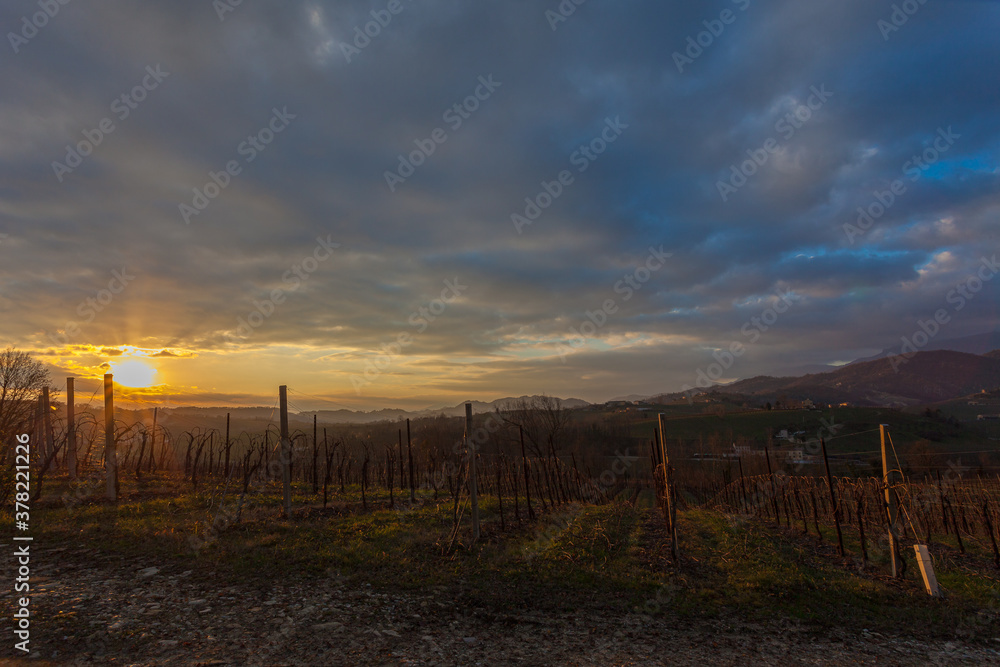 Awesome winter sunset over vineyard, Conegliano, Italy. Concept: agricultural landscape, Prosecco hills, a World Heritage Site
