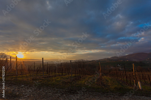 Awesome winter sunset over vineyard, Conegliano, Italy. Concept: agricultural landscape, Prosecco hills, a World Heritage Site