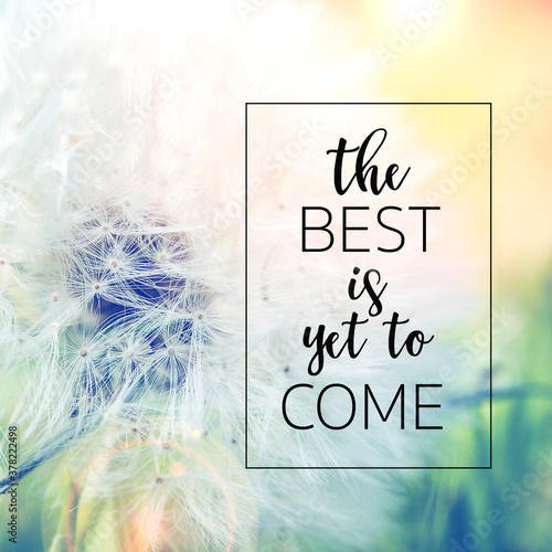Canvas Print the best is yet to come quote with nature moody background