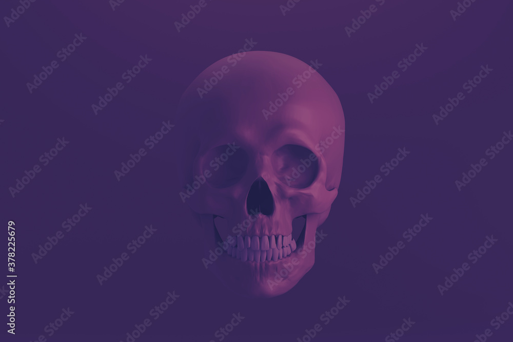 Fototapeta premium human skull on violet background, front view, 3d render