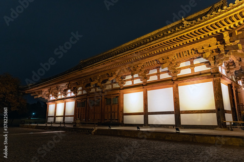 京都 東寺のライトアップされた講堂