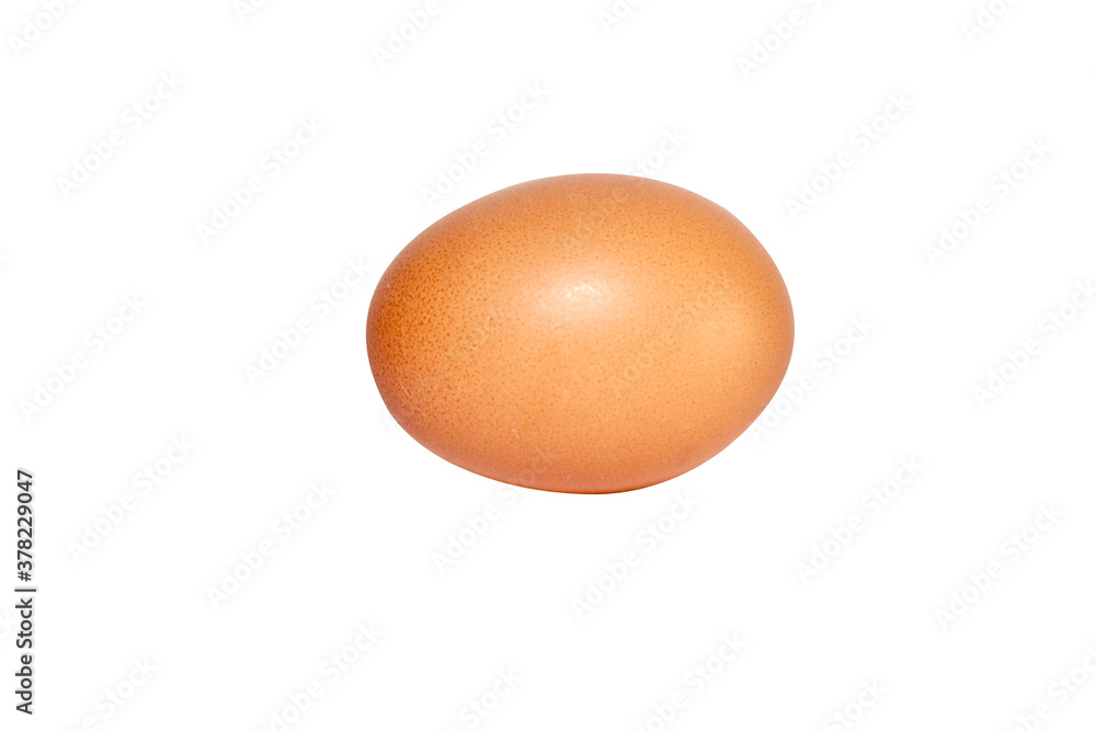 Closeup of Fresh Chicken Eggs isolated on a white background with copy space. Closeup of Fresh Chicken Eggs isolated on a white background with copy space.