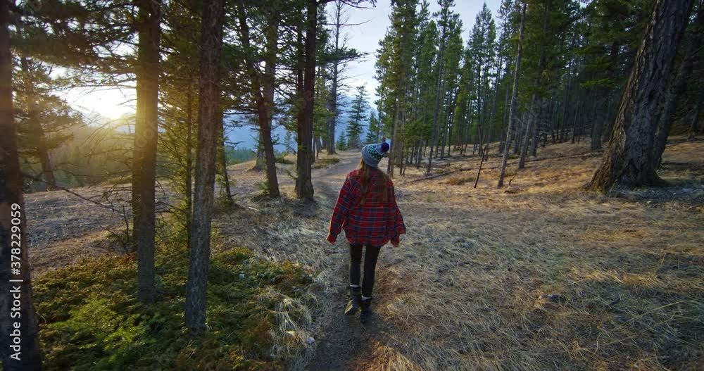 Woman walks down sunset trail in Banff National Park, tracking shot Woman walks down sunset trail in Banff National Park, tracking shot