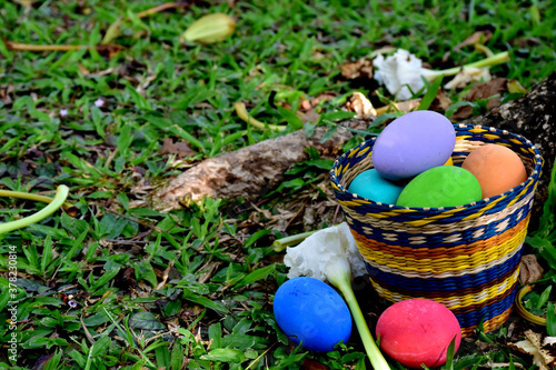 Easter eggs in the Basket on green grass at morning day.