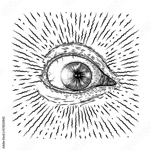 All seeing eye symbol element variation. Alchemy, religion, spirituality and occultism tattoo ink art. Vision of providence and conspiracy theory. Hand drawing in flash tattoo style artwork. Vector.