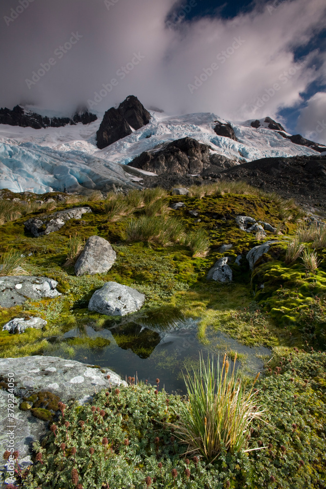 Fototapeta premium Glacier above Smaaland Cove, South Georgia Island, Antarctica
