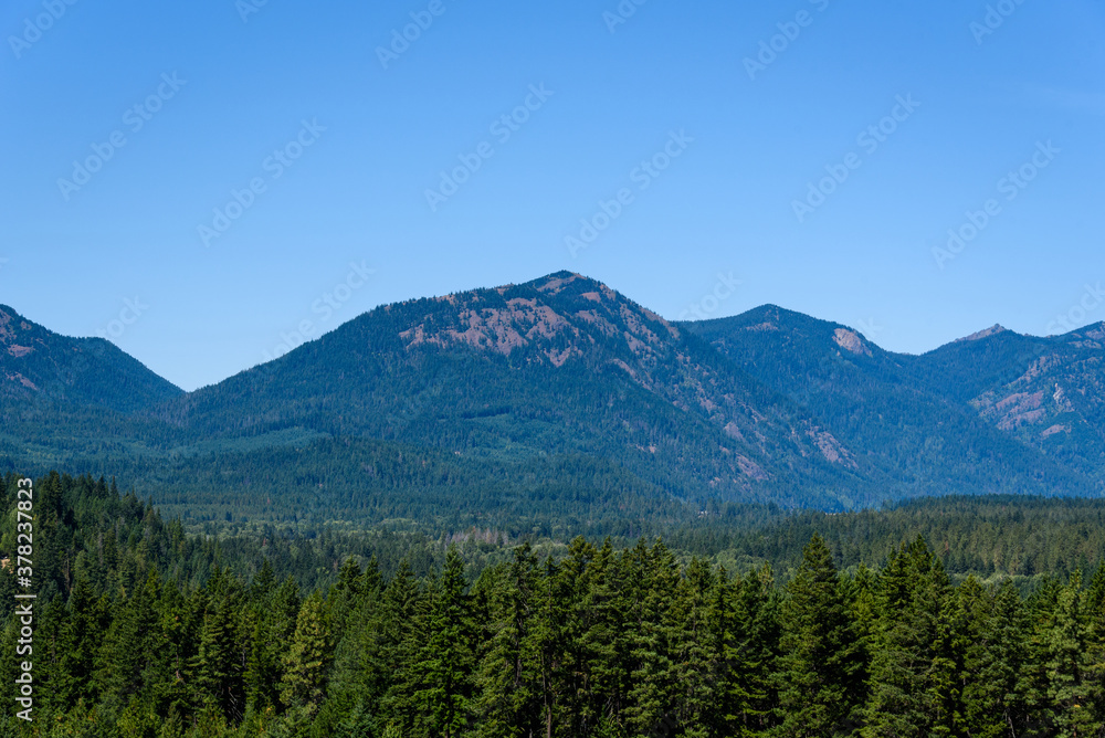 Panoramic view of evergreen trees, mountains, and blue sky, as a nature background
