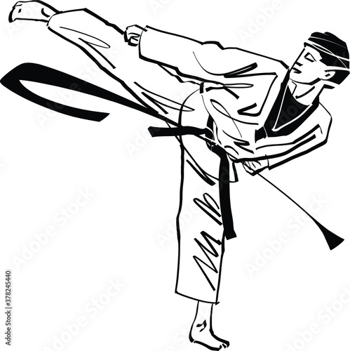 vector illustration of the taekwondo master