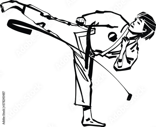 vector illustration of the taekwondo master