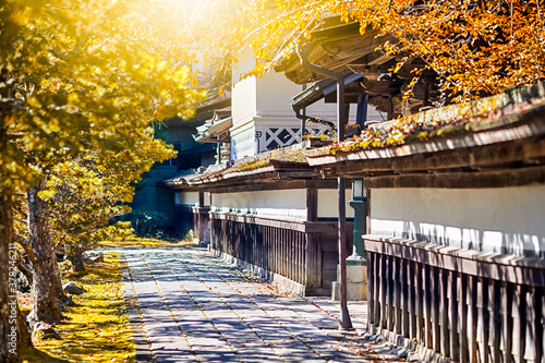 Red Maples Trees Alongside of The Monastery Entrance on Sacred Mount Koyasan in Japan. photo