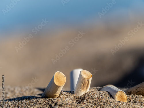 dirty cigarette butts stuck into beach sand