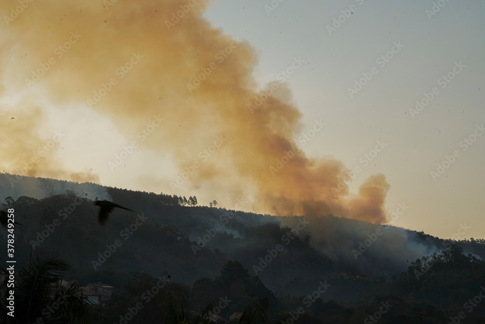 Fototapeta premium Forest fire disaster in Monte Alegre do Sul, Sao Paulo, Brazil. 5 September 2020