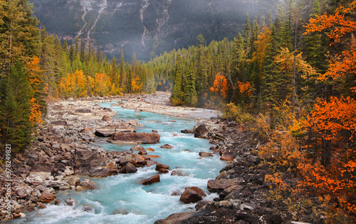 Carta da parati Boulders and rocks in fresh water stream at rural British Columbia in autumn tim
