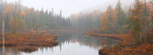 Panoramic view of colorful trees with misty landscape during autumn time  © SNEHIT PHOTO