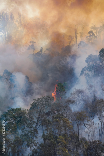 Forest fire disaster in Monte Alegre do Sul, Sao Paulo, Brazil. 8 September-2020 photo