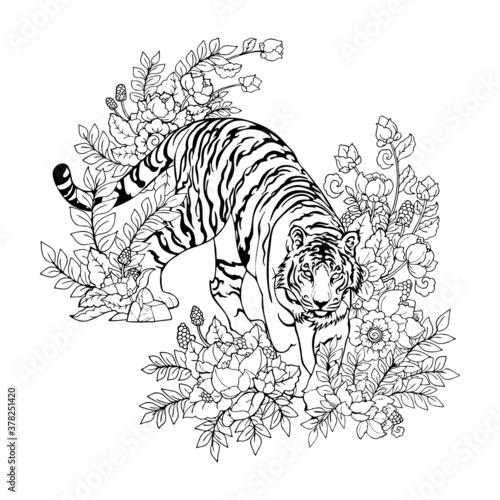 Tiger walking in Flower bush illustration doodle with oriental Chinese  ink drawing tattoo vector with white background 
