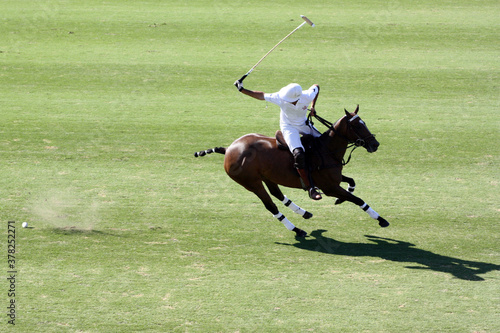 polo player