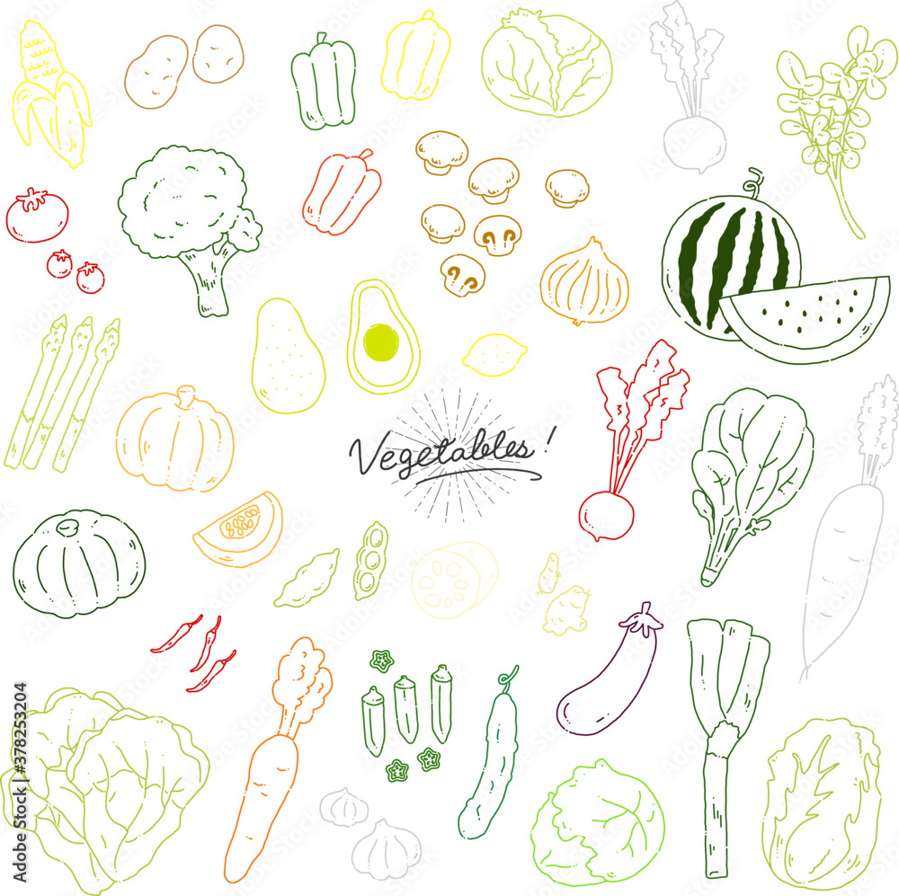 いろんな野菜の手描きイラストアイコン 白背景 Vegetables Line Illustration Vector Icon White Background Stock Vector Adobe Stock