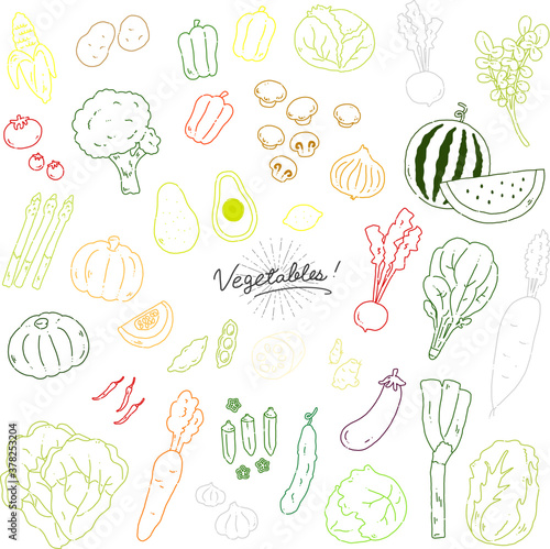 いろんな野菜の手描きイラストアイコン【白背景】vegetables line illustration vector icon【white background】