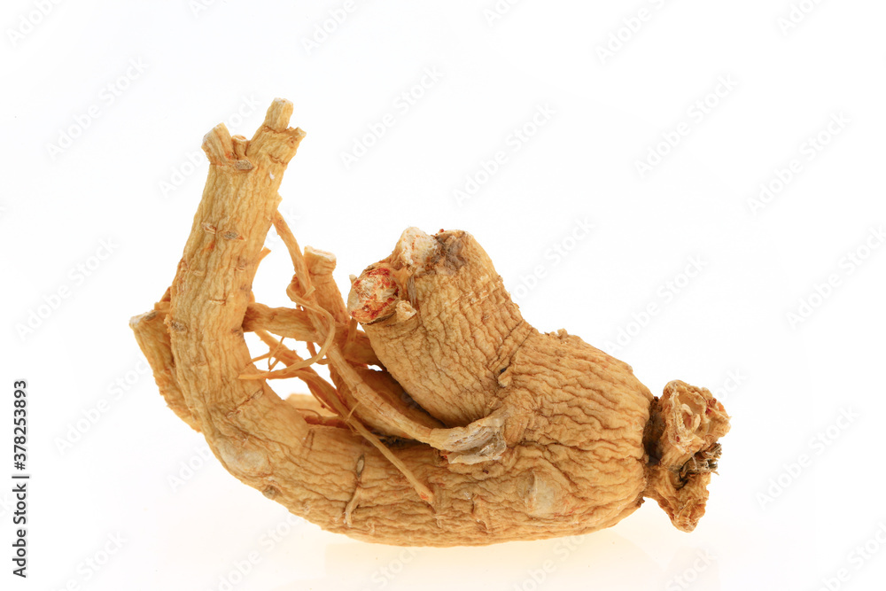 Ginseng on a white background Ginseng on a white background