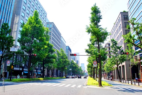 日本の大阪の御堂筋通りとオフィス街