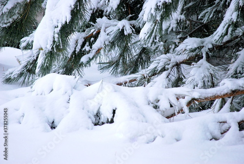 Winter snow outdoors.