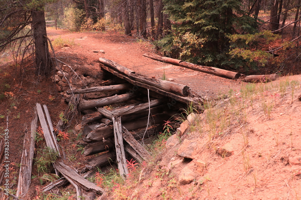 Old abandoned wooden bridge in the forest Old abandoned wooden bridge in the forest