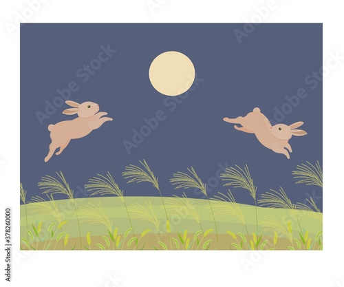 月夜にはねるウサギ