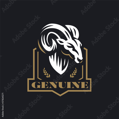 A ram or wild goat 
