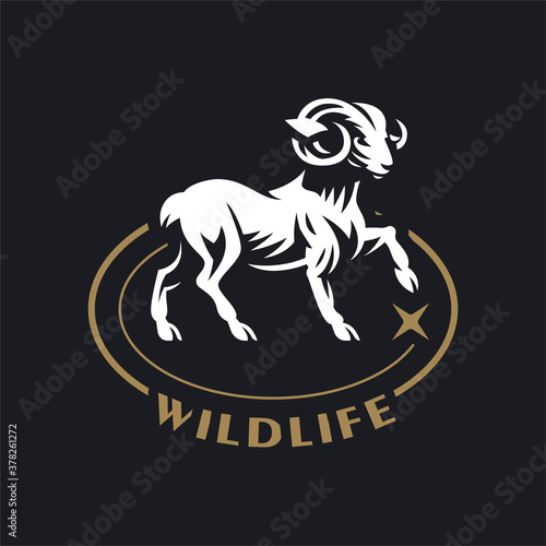 A ram or wild goat 
