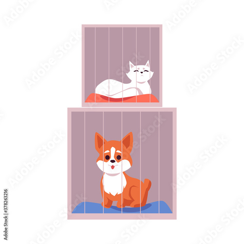 Cages with pets in animal shelter or vet store flat vector illustration isolated.