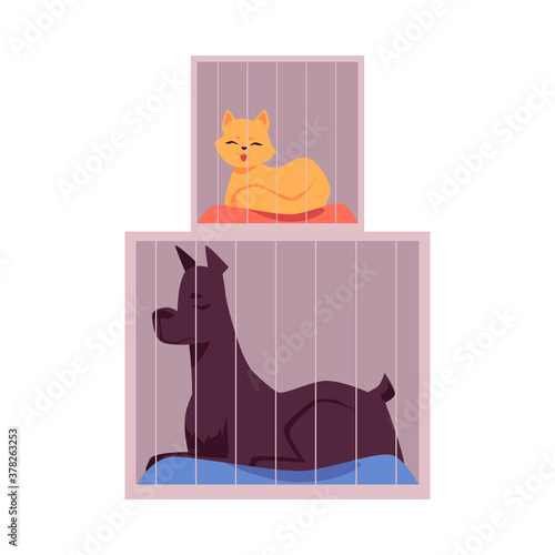 Cages with pets awaiting adoption at shelter, flat vector illustration isolated.