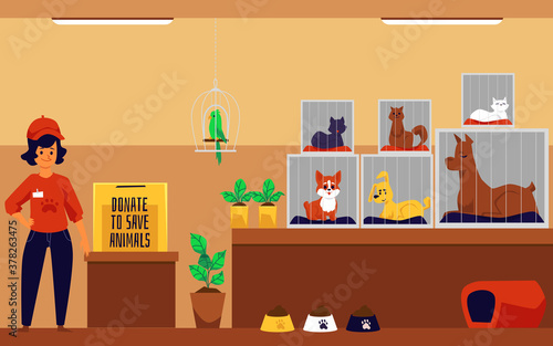 Volunteer collect donations for an animal shelter, flat vector illustration.