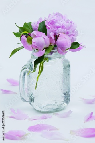 Beautiful pink peony flower isolated on white background. Lush peony