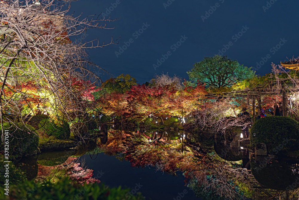 京都 東寺の紅葉ライトアップ