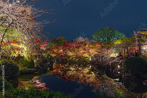 京都 東寺の紅葉ライトアップ © mtaira