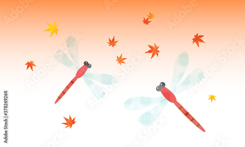 秋の夕焼け空を飛ぶ2匹の赤とんぼと紅葉した楓