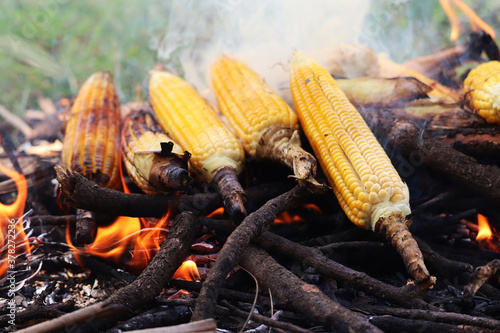 Bunch of Maize grilled
