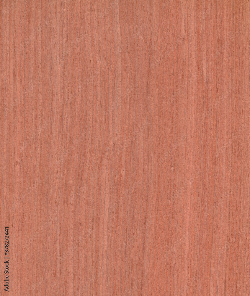 Naklejka premium walnut, orange Brown color wood wall material burr surface texture background Pattern Abstract wooden, top view