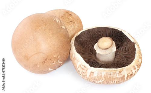 Three portobello mushrooms, isolated on white background.