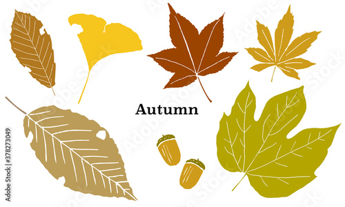 数種の落ち葉シルエットイラストセット Several kinds of fallen leaf silhouette illustration