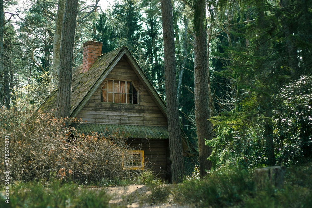 Beautiful wooden isolated house in forest. Secluded cabin in wood. Beautiful wooden isolated house in forest. Secluded cabin in wood.