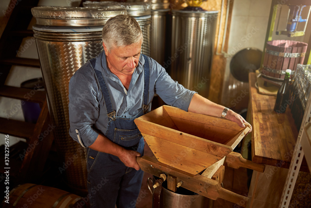 Senior winemaker holding a wooden grape crusher Senior winemaker holding a wooden grape crusher
