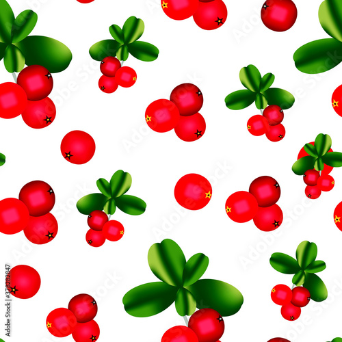 Lingonberry on a white background. Raster illustration. seamless pattern. photo