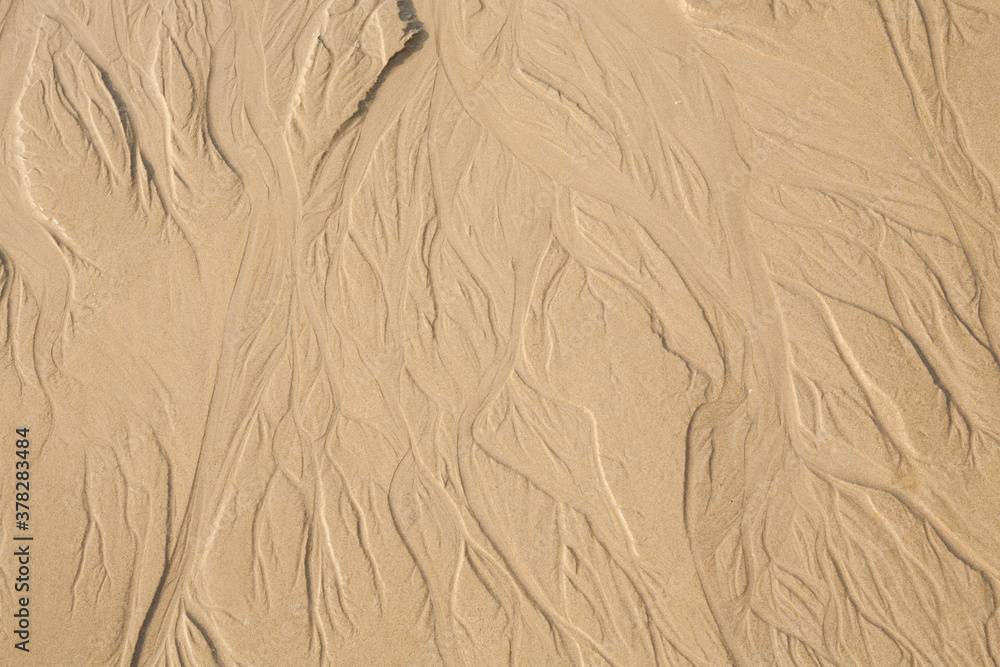 Sand texture. Sandy beach for background. Sand texture. Sandy beach for background.