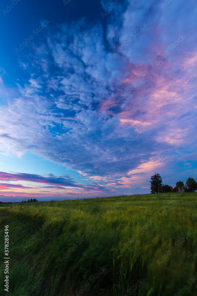Warm summer sunset over fields and meadows Warm summer sunset over fields and meadows
